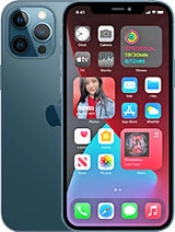 case iPhone 12 Pro Max