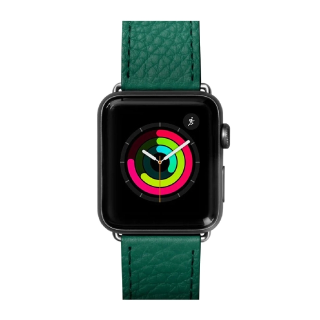 Ремешок для Apple Watch 1-8 / SE / Ultra (38/40/41 mm) Laut (LAUT_AWS_ML_GN) Milano Emerald